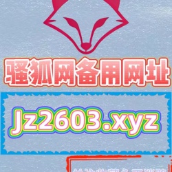 骚狐网备用一