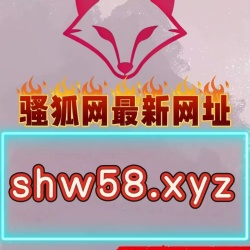 骚狐网备用三